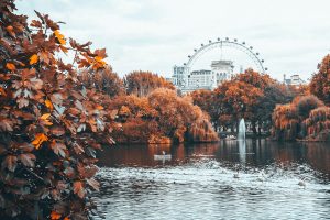 The London Eye in an autumn scene.