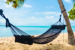 A hammock hanging between two trees at a beach.